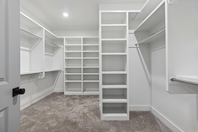 walk in closet with carpet flooring
