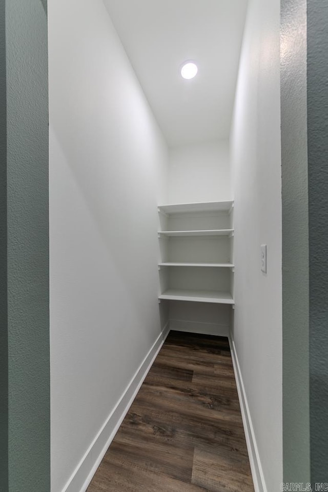 spacious closet with dark wood-type flooring