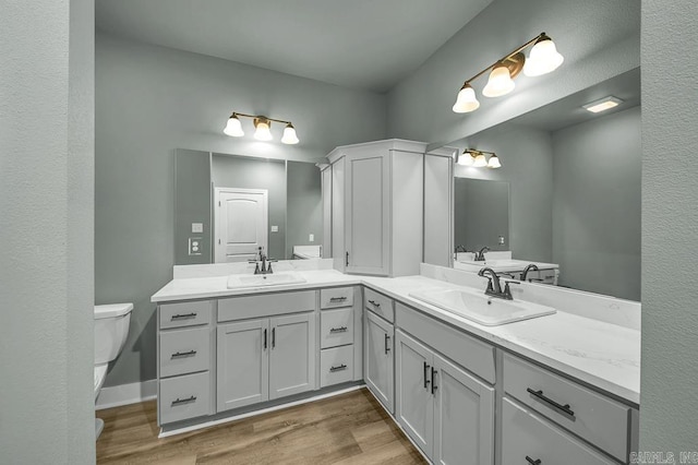 full bathroom featuring a sink, double vanity, and wood finished floors