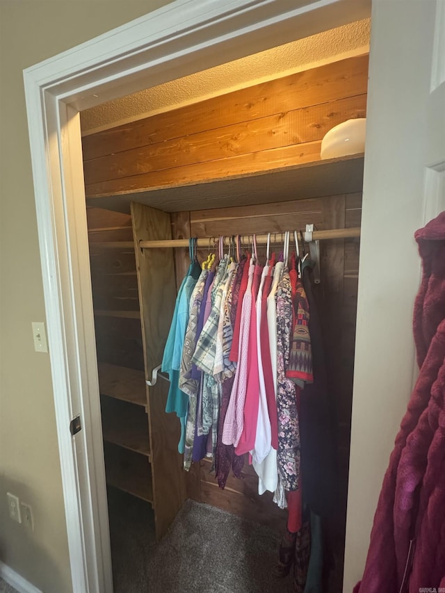 view of closet