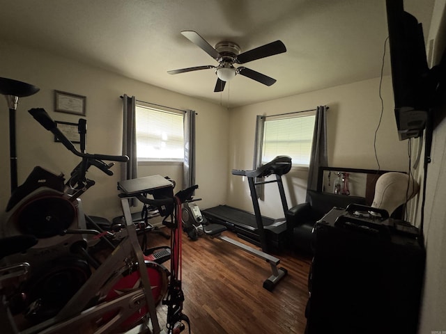 workout area with ceiling fan and wood finished floors