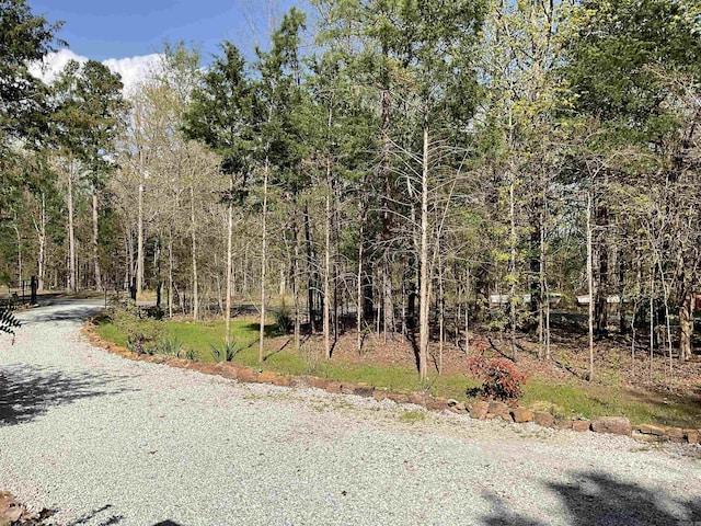 view of street featuring a forest view