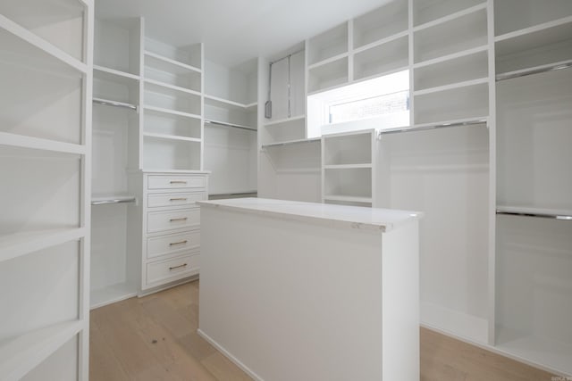 221 Abington Cir, Little Rock, AR 72223 - walk in closet with light wood-type flooring