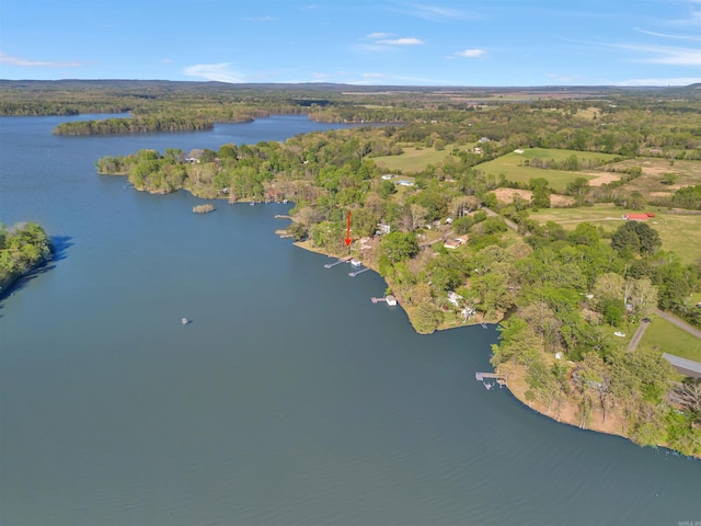 birds eye view of property featuring a water view and a view of trees