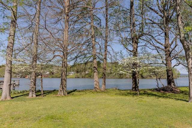 view of water feature