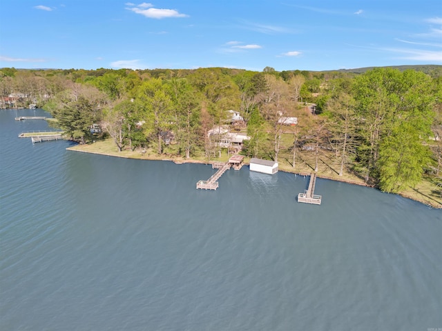 drone / aerial view featuring a water view and a view of trees