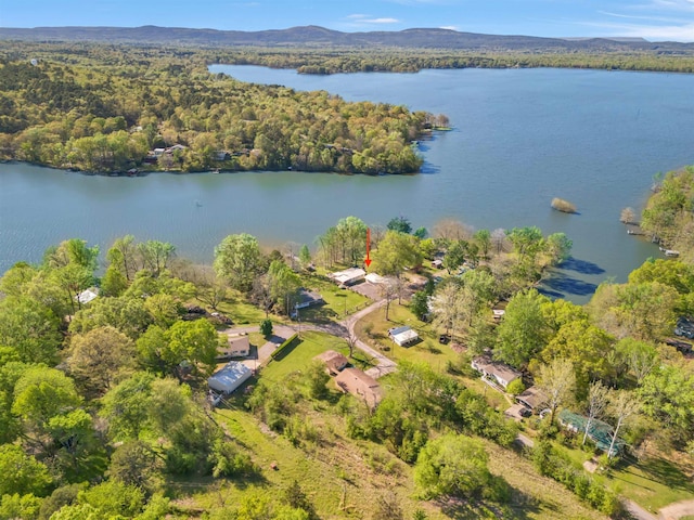 drone / aerial view with a wooded view and a water and mountain view