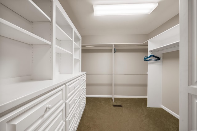 166 Heatherwood, Hot Springs, AR 71913 - spacious closet with dark carpet and visible vents