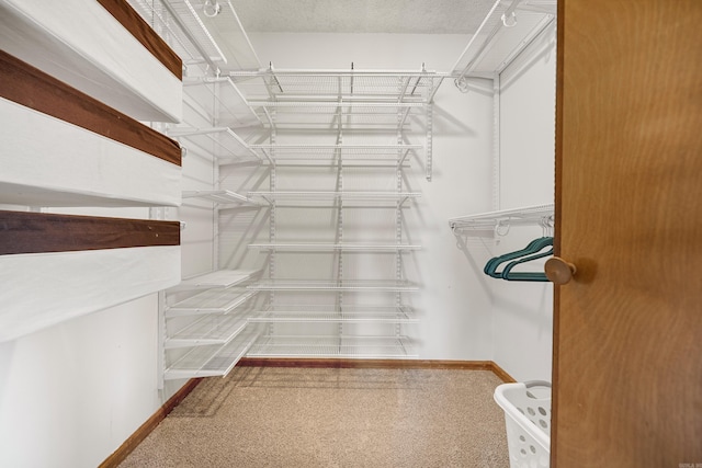 166 Heatherwood, Hot Springs, AR 71913 - view of spacious closet