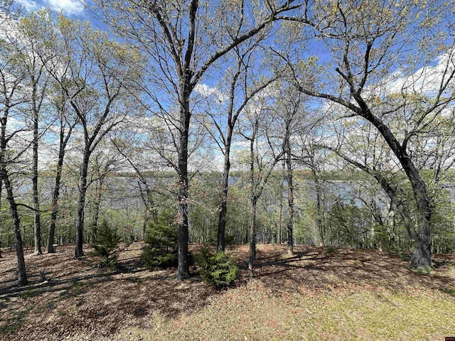 view of landscape featuring a forest view