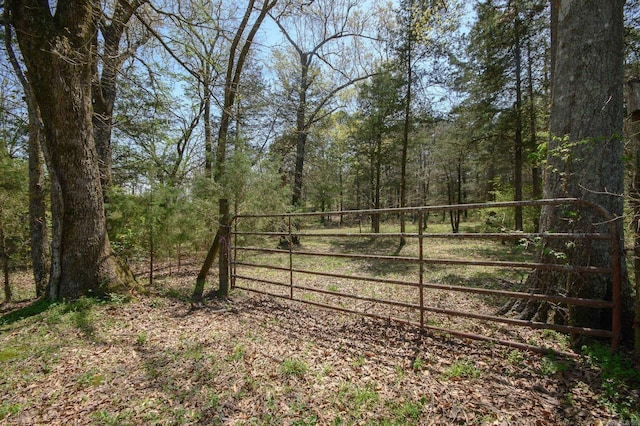 1295 Polk Road 47, Mena, AR 71953 - view of yard featuring a view of trees and a gate
