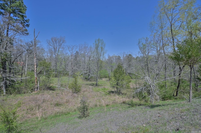 1295 Polk Road 47, Mena, AR 71953 - view of landscape featuring a view of trees
