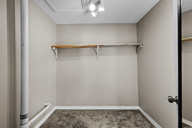 1216 Wade Ave, Judsonia, AR 72081 - walk in closet with carpet flooring