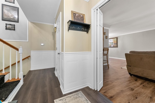 corridor with wainscoting, wood finished floors, ornamental molding, and stairs