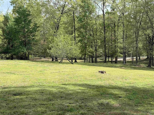 5301 Owensville Cutoff, Lonsdale, AR 72087 - view of yard