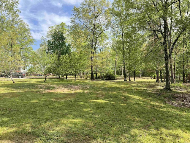 5301 Owensville Cutoff, Lonsdale, AR 72087 - view of yard
