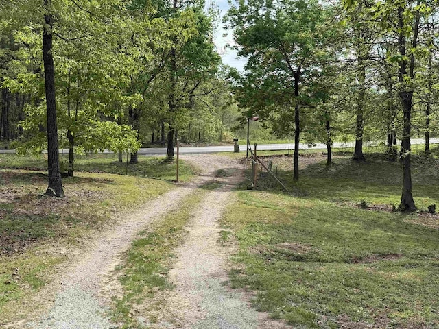 5301 Owensville Cutoff, Lonsdale, AR 72087 - view of road