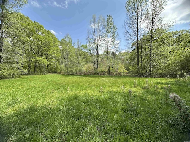 view of yard with a forest view