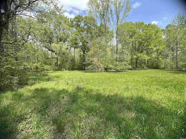 view of yard with a view of trees
