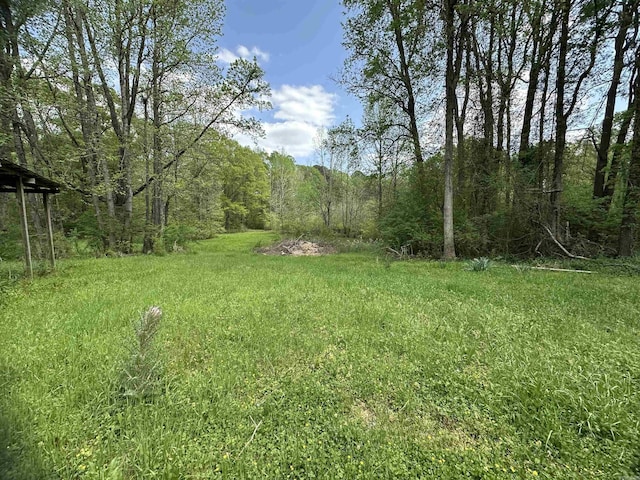 view of yard with a view of trees