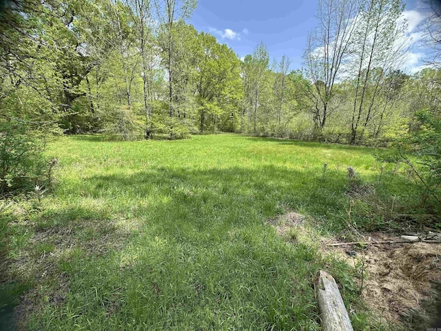 view of yard featuring a wooded view