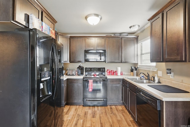 kitchen with dark brown cabinets, a sink, black appliances, light wood-type flooring, and light countertops
