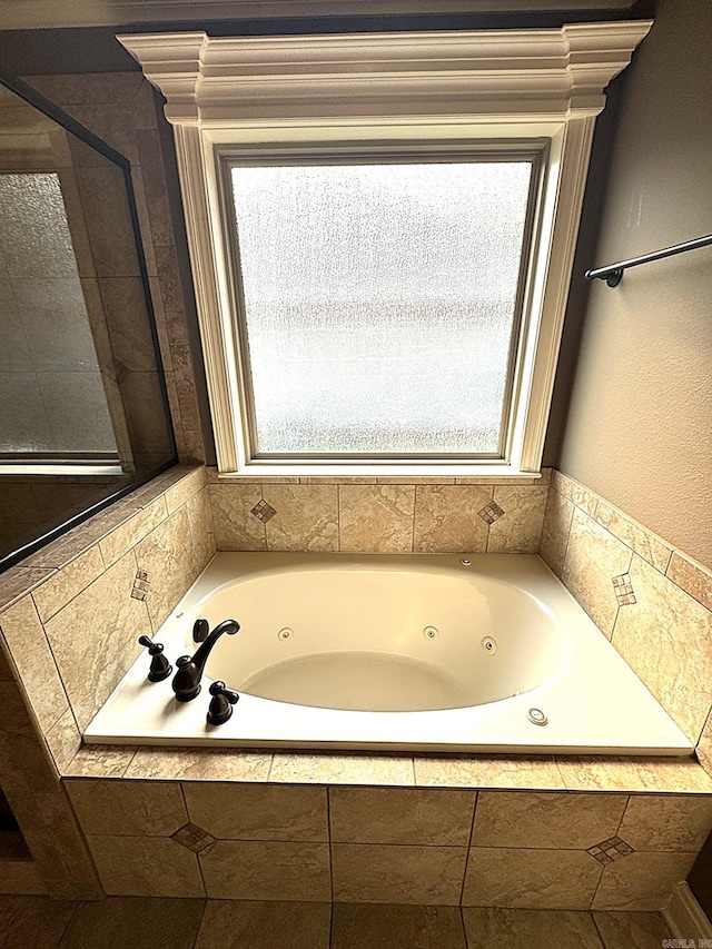 1844 White Oak Cir, Benton, AR 72019 - bathroom featuring a wealth of natural light and a tub with jets