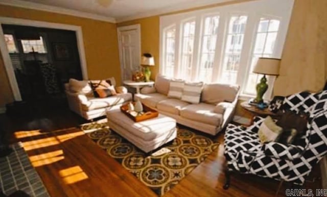 living room featuring wood finished floors and a wealth of natural light