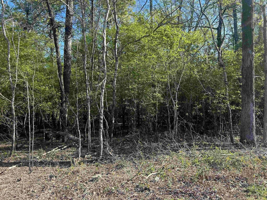 0 Gum St Unit 2, Sheridan, AR 72150
