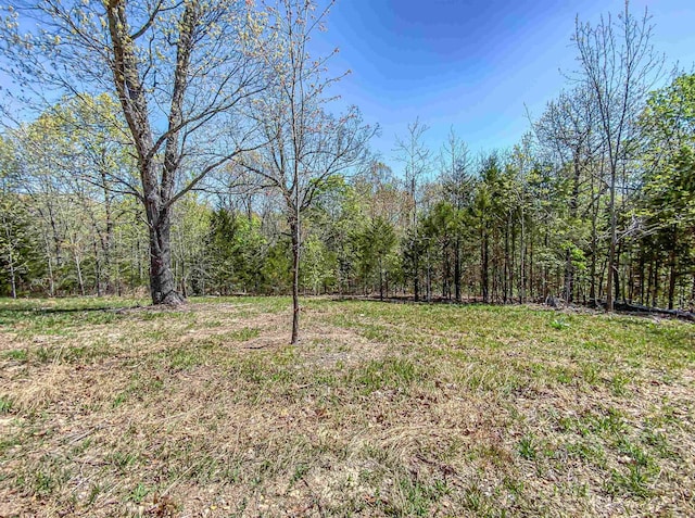 view of yard featuring a forest view