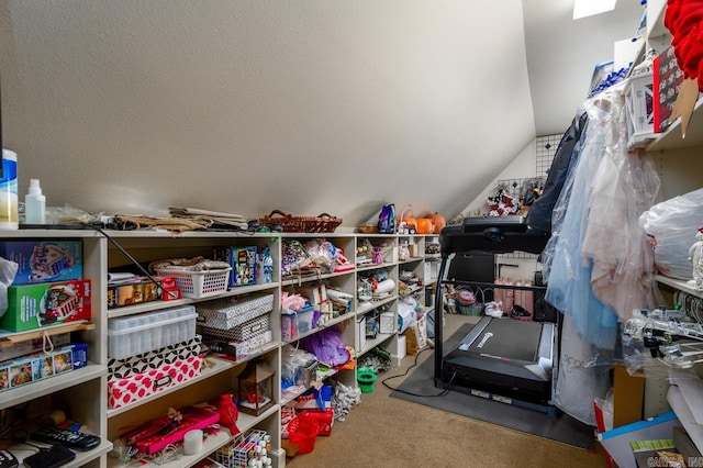 1130 Applewood Dr, Conway, AR 72034 - view of storage area