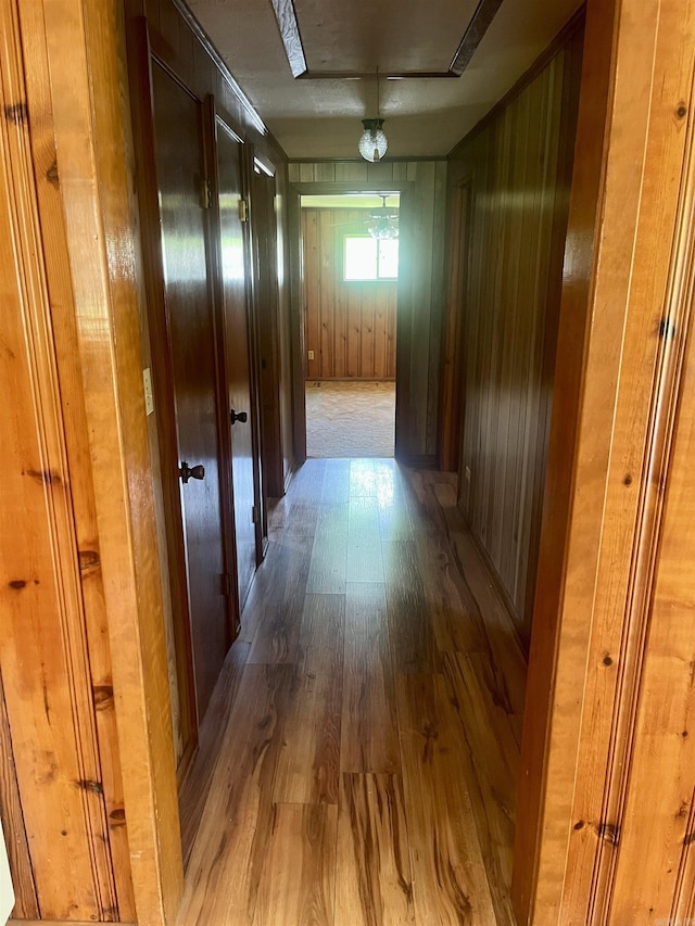 corridor featuring wood finished floors and wooden walls