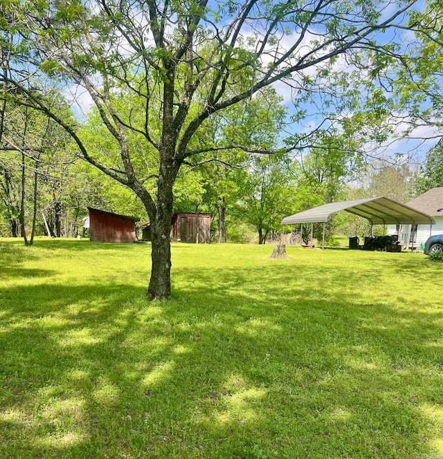 view of yard featuring a carport and an outbuilding