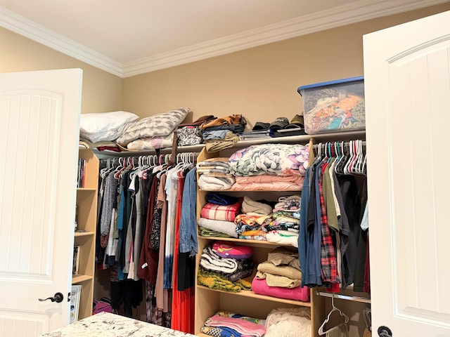 view of spacious closet