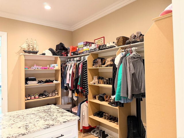 spacious closet featuring light wood-style floors