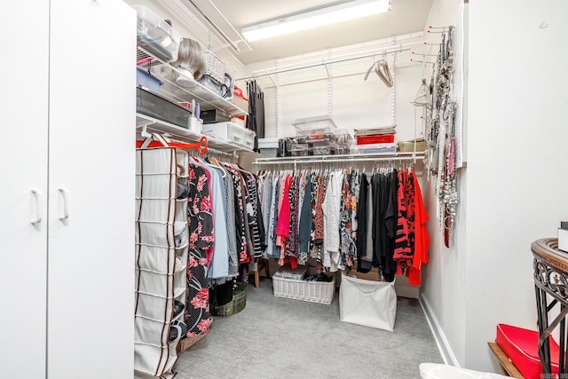13 Arista Ln, Hot Springs Village, AR 71909 - spacious closet with carpet floors