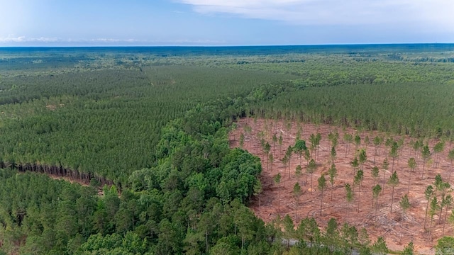 LOT3 Grant 55, Hensley, AR 72065