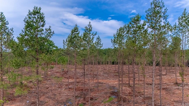 LOT3 Grant 55, Hensley, AR 72065