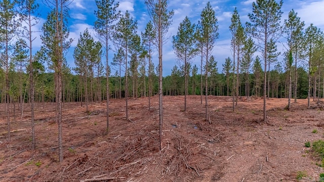 LOT3 Grant 55, Hensley, AR 72065