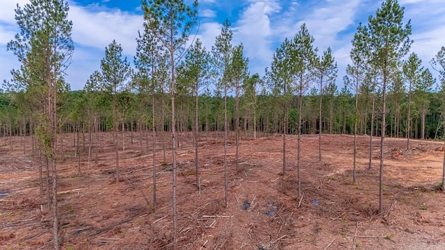 LOT3 Grant 55, Hensley, AR 72065