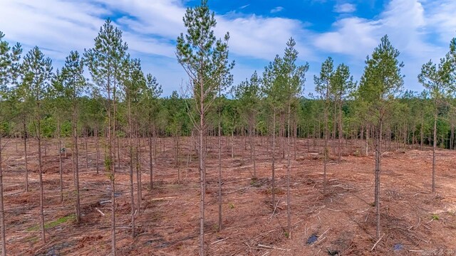 LOT3 Grant 55, Hensley, AR 72065