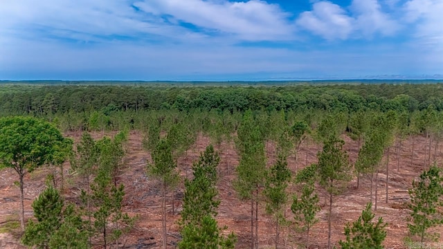 LOT3 Grant 55, Hensley, AR 72065