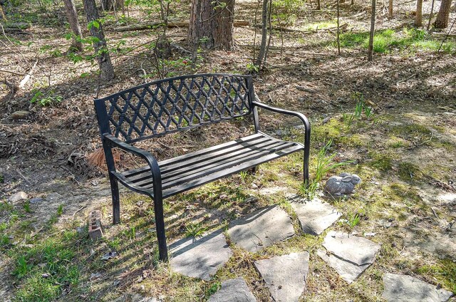 20 Cortez Way, Hot Springs Village, AR 71909 - view of property's community