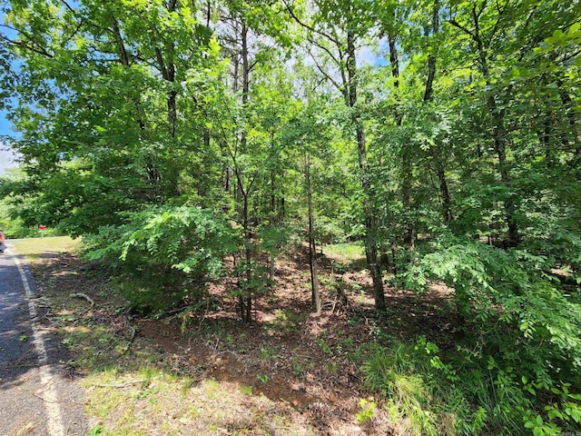 0 Timber Rd, Fairfield Bay, AR 72088