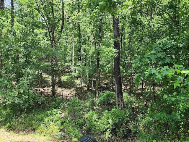 0 Timber Rd, Fairfield Bay, AR 72088