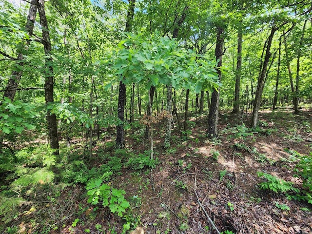 0 Timber Rd, Fairfield Bay, AR 72088