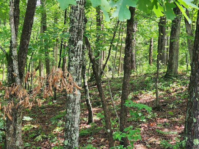 0 Timber Rd, Fairfield Bay, AR 72088