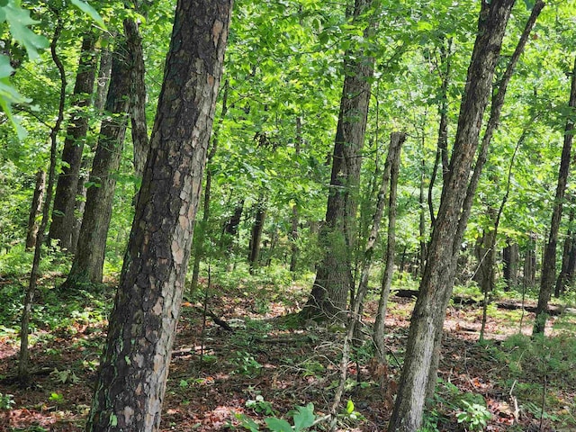 0 Timber Rd, Fairfield Bay, AR 72088