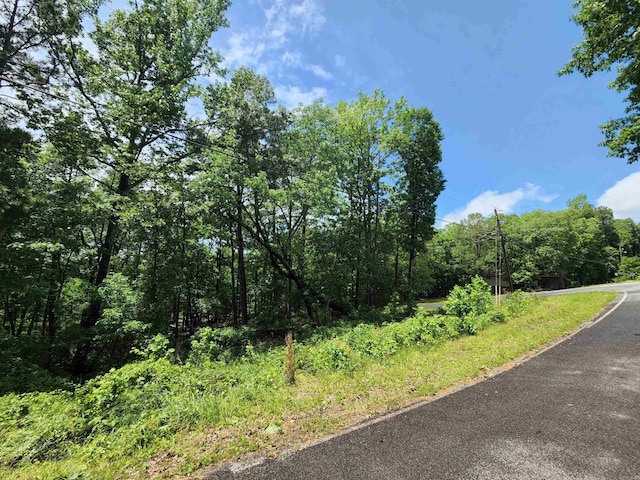 0 Timber Rd, Fairfield Bay, AR 72088