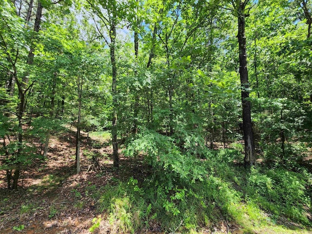 0 Timber Rd, Fairfield Bay, AR 72088